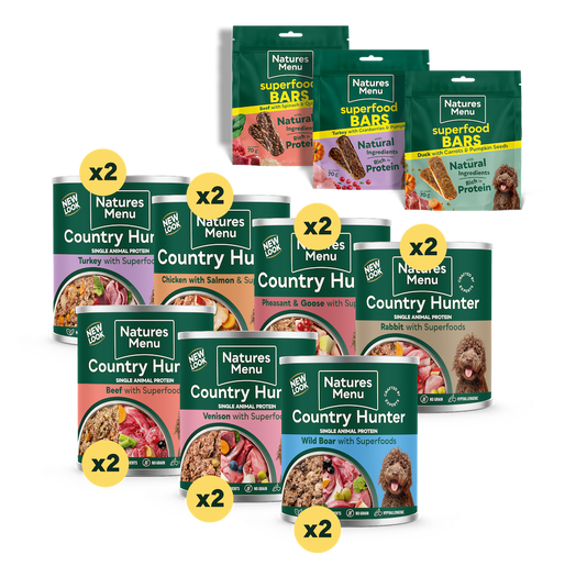 Big Flavour Wet Food Bundle for Medium to Large Dogs